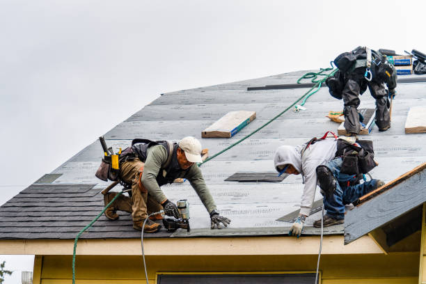 Professional Gutter Installation technician working in Montgomery, MN